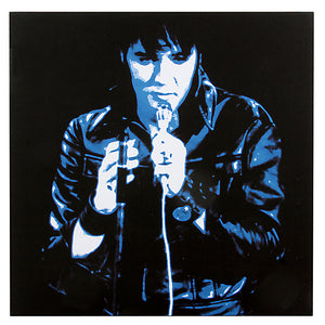 Elvis Canvas Print